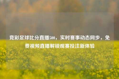 竞彩足球比分直播500，实时赛事动态同步，免费视频直播解锁观赛投注新体验