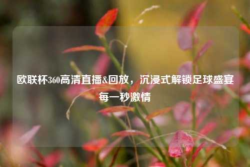 欧联杯360高清直播&回放，沉浸式解锁足球盛宴每一秒激情