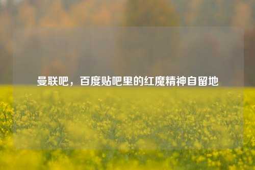 曼联吧，百度贴吧里的红魔精神自留地
