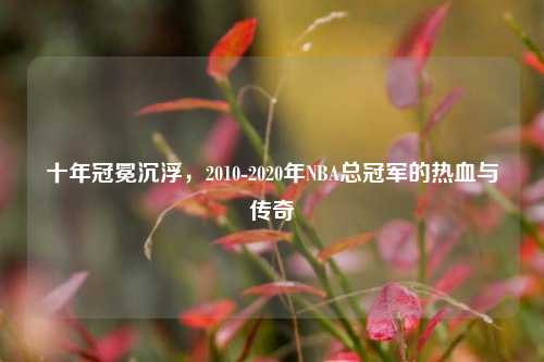 十年冠冕沉浮，2010-2020年NBA总冠军的热血与传奇