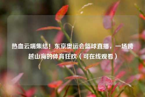 热血云端集结!东京奥运会篮球直播,一场跨越山海的体育狂欢(可在线观看)