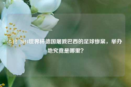 7-1！2014世界杯德国屠戮巴西的足球惨案，举办地究竟是哪里？