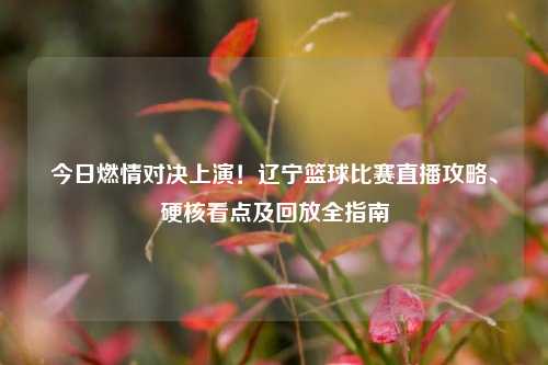 今日燃情对决上演!辽宁篮球比赛直播攻略、硬核看点及回放全指南