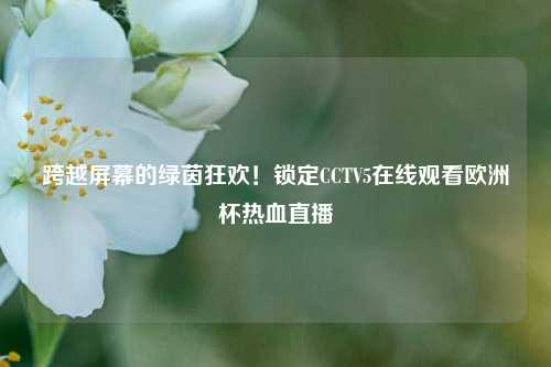 跨越屏幕的绿茵狂欢!锁定CCTV5在线观看欧洲杯热血直播