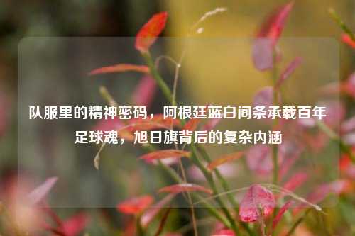 队服里的精神密码，阿根廷蓝白间条承载百年足球魂，旭日旗背后的复杂内涵