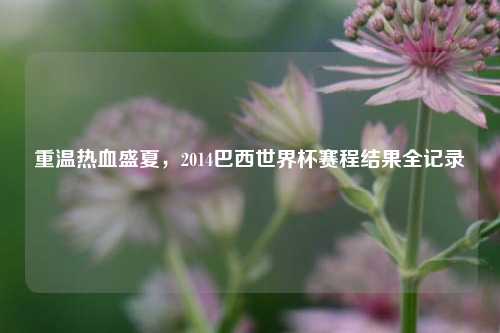 重温热血盛夏，2014巴西世界杯赛程结果全记录