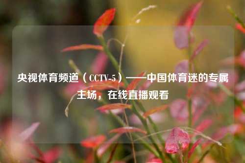 央视体育频道(CCTV-5)——中国体育迷的专属主场,在线直播观看