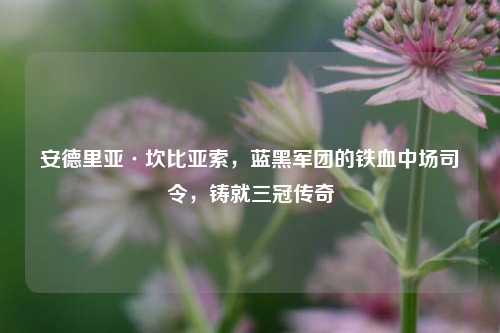安德里亚·坎比亚索，蓝黑军团的铁血中场司令，铸就三冠传奇