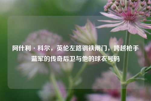 阿什利·科尔，英伦左路钢铁闸门，跨越枪手蓝军的传奇后卫与他的球衣号码