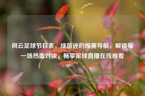 风云足球节目表,绿茵迷的观赛导航,解锁每一场热血对决,畅享足球直播在线观看