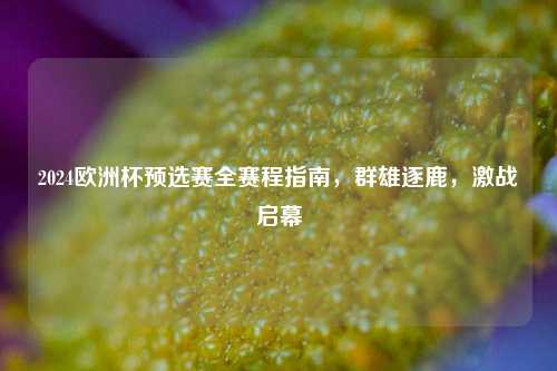 2024欧洲杯预选赛全赛程指南，群雄逐鹿，激战启幕