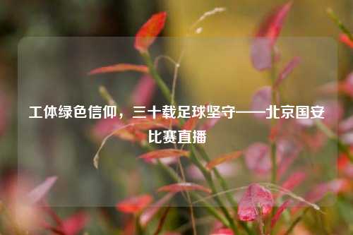 工体绿色信仰，三十载足球坚守——北京国安比赛直播