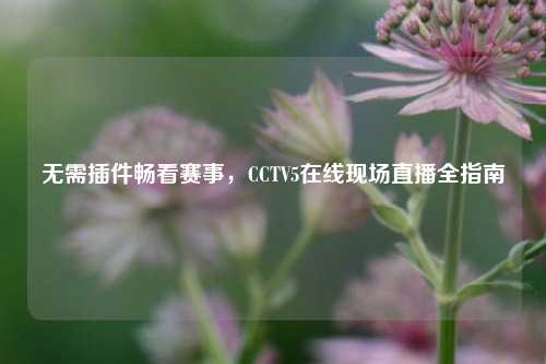 无需插件畅看赛事,CCTV5在线现场直播全指南