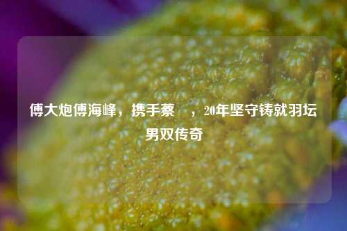 傅大炮傅海峰，携手蔡赟，20年坚守铸就羽坛男双传奇