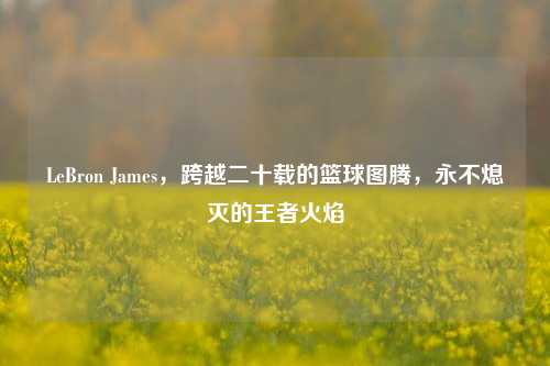 LeBron James，跨越二十载的篮球图腾，永不熄灭的王者火焰