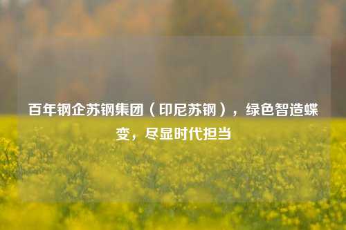 百年钢企苏钢集团（印尼苏钢），绿色智造蝶变，尽显时代担当