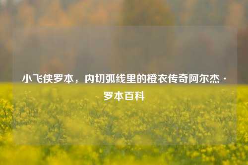 小飞侠罗本，内切弧线里的橙衣传奇阿尔杰·罗本百科