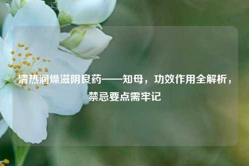 清热润燥滋阴良药——知母，功效作用全解析，禁忌要点需牢记