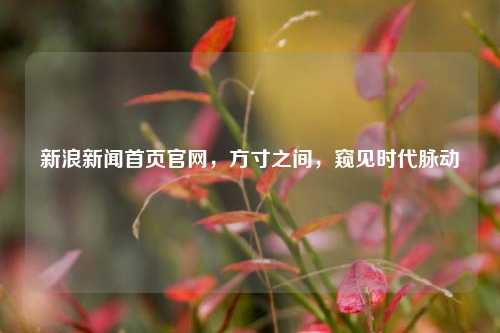 新浪新闻首页官网，方寸之间，窥见时代脉动