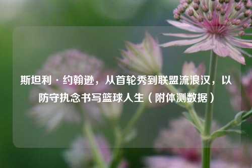 斯坦利·约翰逊，从首轮秀到联盟流浪汉，以防守执念书写篮球人生（附体测数据）