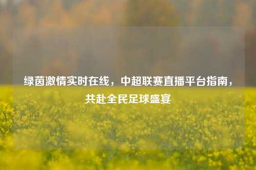 绿茵激情实时在线，中超联赛直播平台指南，共赴全民足球盛宴