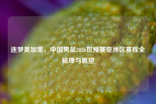 逐梦美加墨，中国男足2026世预赛亚洲区赛程全梳理与展望