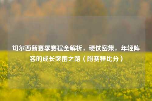 切尔西新赛季赛程全解析，硬仗密集，年轻阵容的成长突围之路（附赛程比分）