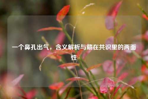一个鼻孔出气，含义解析与藏在共识里的两面性