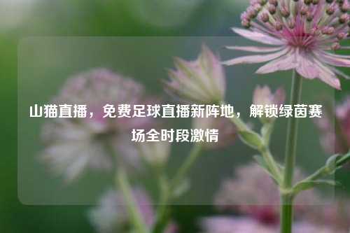 山猫直播，免费足球直播新阵地，解锁绿茵赛场全时段激情