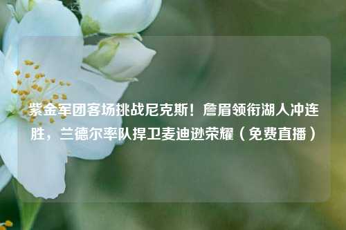 紫金军团客场挑战尼克斯！詹眉领衔湖人冲连胜，兰德尔率队捍卫麦迪逊荣耀（免费直播）