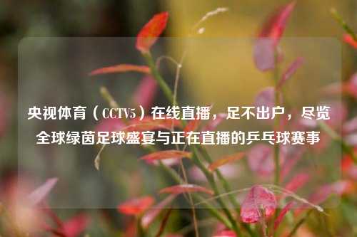 央视体育（CCTV5）在线直播，足不出户，尽览全球绿茵足球盛宴与正在直播的乒乓球赛事