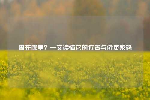 胃在哪里？一文读懂它的位置与健康密码