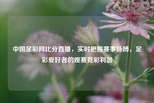 中国足彩网比分直播，实时把握赛事脉搏，足彩爱好者的观赛竞彩利器
