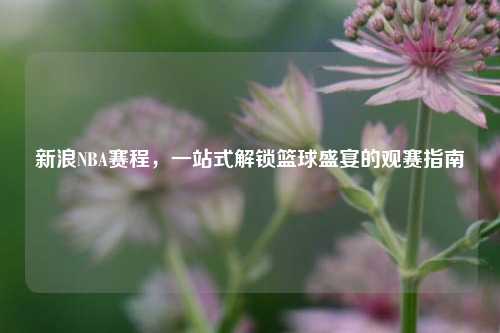 新浪NBA赛程,一站式解锁篮球盛宴的观赛指南