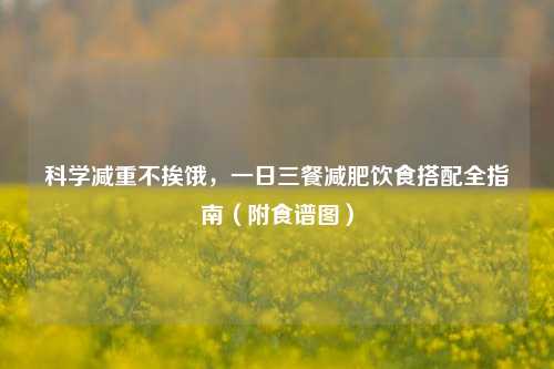 科学减重不挨饿，一日三餐减肥饮食搭配全指南（附食谱图）