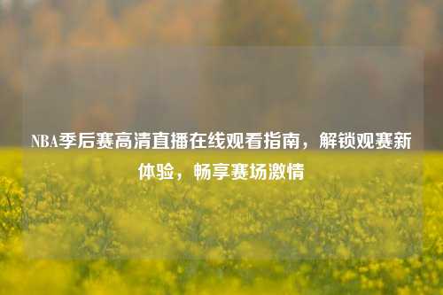 NBA季后赛高清直播在线观看指南,解锁观赛新体验,畅享赛场激情
