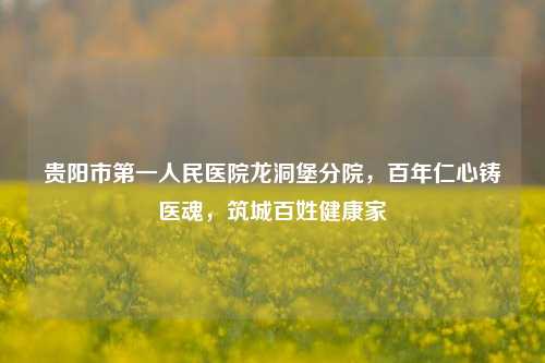 贵阳市第一人民医院龙洞堡分院，百年仁心铸医魂，筑城百姓健康家