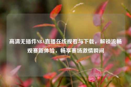 高清无插件NBA直播在线观看与下载,解锁流畅观赛新体验,畅享赛场激情瞬间