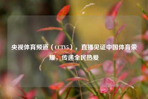 央视体育频道(CCTV5),直播见证中国体育荣耀,传递全民热爱