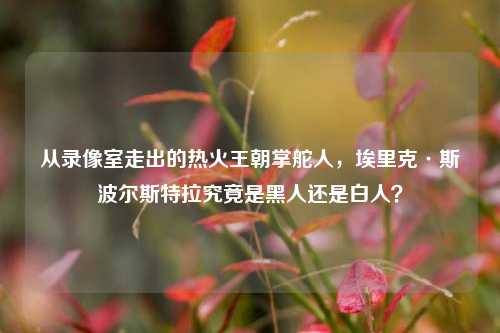 从录像室走出的热火王朝掌舵人，埃里克·斯波尔斯特拉究竟是黑人还是白人？