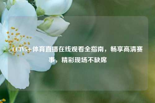 CCTV5+体育直播在线观看全指南,畅享高清赛事,精彩现场不缺席