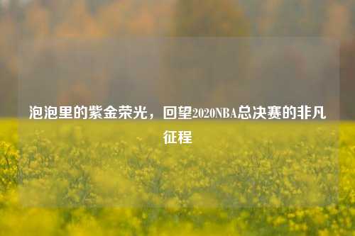 泡泡里的紫金荣光，回望2020NBA总决赛的非凡征程