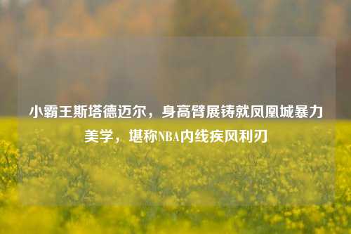 小霸王斯塔德迈尔，身高臂展铸就凤凰城暴力美学，堪称NBA内线疾风利刃
