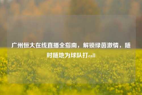 广州恒大在线直播全指南,解锁绿茵激情,随时随地为球队打call