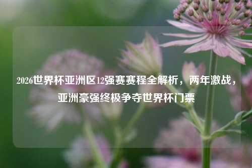 2026世界杯亚洲区12强赛赛程全解析，两年激战，亚洲豪强终极争夺世界杯门票