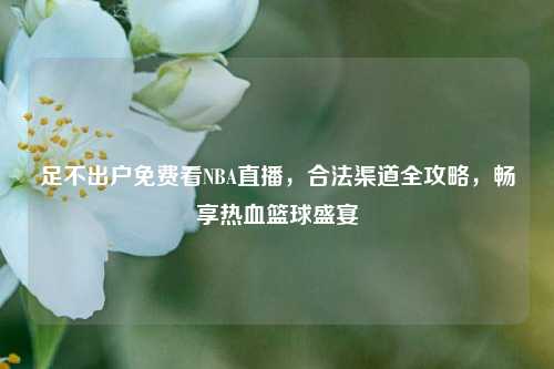 足不出户免费看NBA直播,合法渠道全攻略,畅享热血篮球盛宴