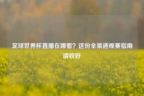 足球世界杯直播在哪看?这份全渠道观赛指南请收好