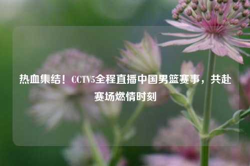 热血集结!CCTV5全程直播中国男篮赛事,共赴赛场燃情时刻