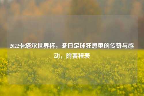 2022卡塔尔世界杯,冬日足球狂想里的传奇与感动,附赛程表