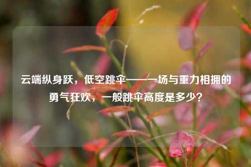 云端纵身跃，低空跳伞——一场与重力相拥的勇气狂欢，一般跳伞高度是多少？